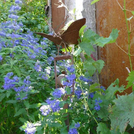 Apartment Lichtblick *